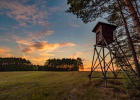 Rusza procedura dzierżaw nowych obwodów łowieckich