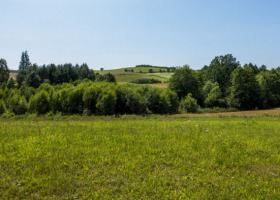Nie będzie płatności przejściowych w ramach działania ONW