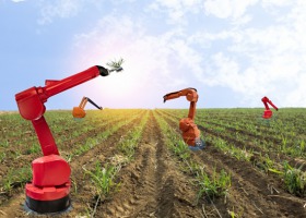 Robotyka w rolnictwie? To już się dzieje! Niesamowita wizja realnej przyszłości