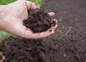 Kiedy najlepiej pobrać próby glebowe?