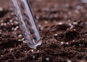 Co najczęściej badamy w glebie?