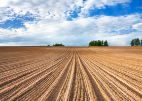 Kondycja gleby – dbałość o utrzymanie i podnoszenie naturalnego potencjału plonotwórczego gleb