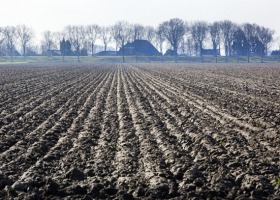Uprawa gleb gliniastych – praktyczne porady