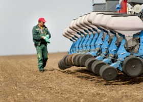 Jak przygotować pole pod zasiew kukurydzy?