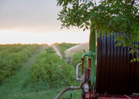 Susza rolnicza – nowa technologia w sposobie określania strat