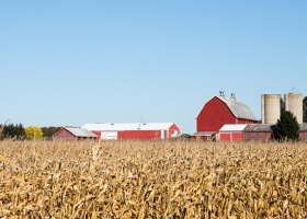 Potencjał wytwórczy gospodarstw rolniczych a ich dochody