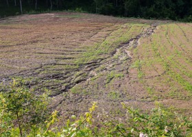 Zagrożenia degradacją i dewastacją gleb na terenach rolniczych