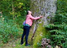 Jaki wpływ na nasz organizm ma przytulanie drzew? Zadziwiające!