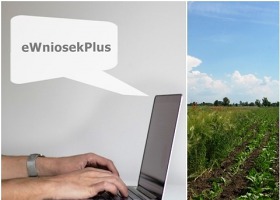 Czas na eWniosekPlus – płatności bezpośrednie i obszarowe