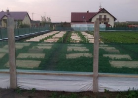Dni otwarte PSH. Okazja do obserwacji hodowli ślimaków
