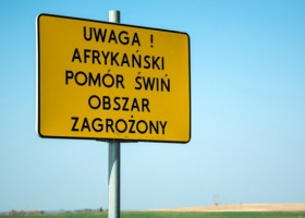Francja negocjuje z Chinami ws. uznania europejskich stref ASF