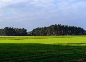 Z ciepłem wrócą szkodniki. Na krótko