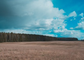 Teledetekcja - czyli nowy system monitoringu suszy