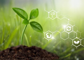 Wnioskują o wsparcie finansowe rolników stosujących biologiczną ochronę roślin
